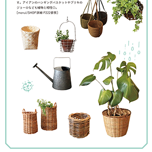 グリーン・インテリアに欠かせないおしゃれな植木鉢や鉢カバーもたっぷりご紹介。園芸アイテムも。