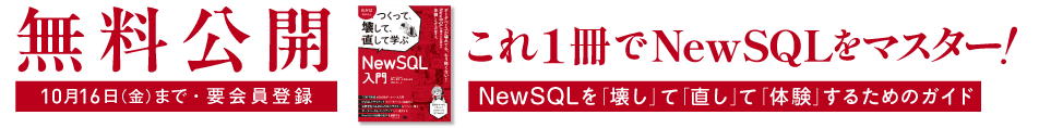 キャンペーン用ヘッダー下バナー2