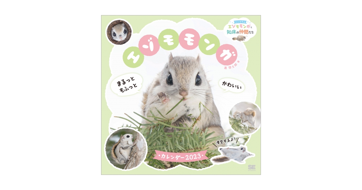 まるっともふっと かわいいエゾモモンガ カレンダー 2023（進 啓