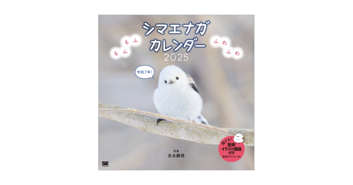 シマエナガ★プロフィール必読 遠くに居ても… 可愛すぎる🤣 #シマエナガ #longtailedtit