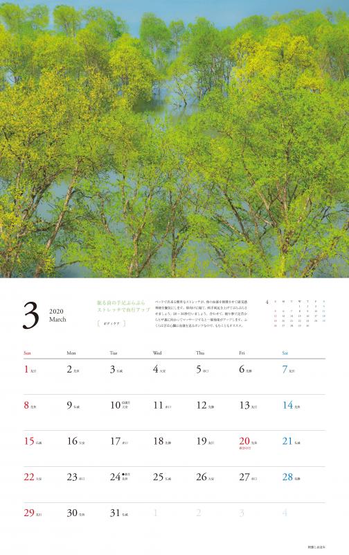 心やすらぐ、ぐっすり眠れる 夢の絶景カレンダー 2020（芦澤 裕子