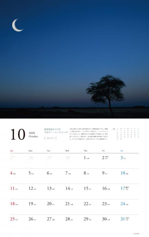 心やすらぐ、ぐっすり眠れる 夢の絶景カレンダー 2020（芦澤 裕子