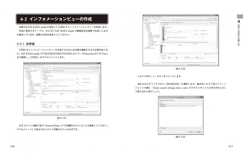 SAP HANA入門 オンデマンド印刷（SAP HANA on Power Systems 出版