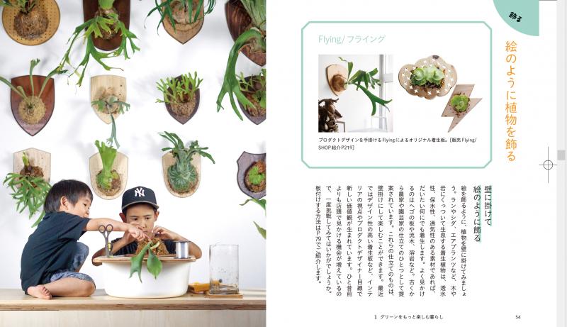 Amazon | シャープ カラー電子辞書 Brain 中学生モデル グリーン