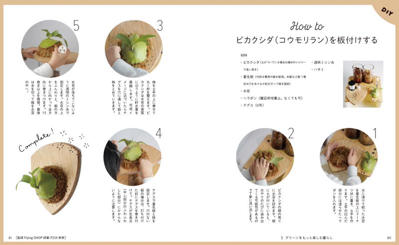 暮らしの図鑑 グリーン 楽しむ工夫×いま取り入れたい観葉植物64