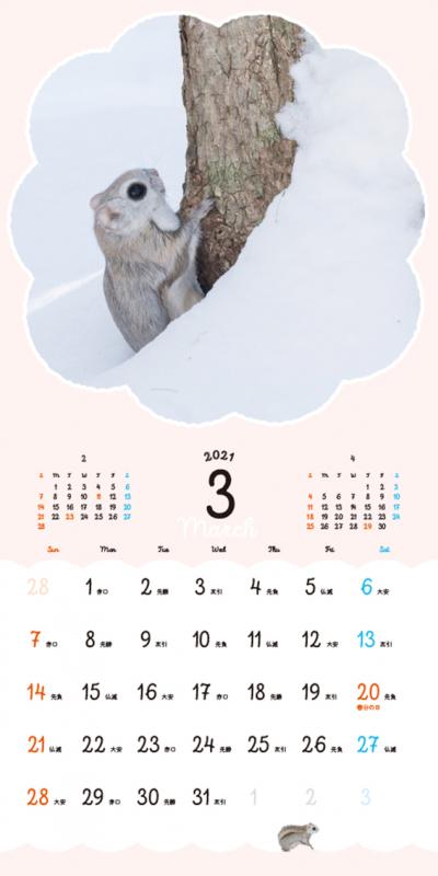 まるっともふっと かわいいエゾモモンガカレンダー 21 Seshop Com 翔泳社の通販 まるっともふっと かわいいエゾモモンガカレンダー 21 Seshop Com 翔泳社の通販