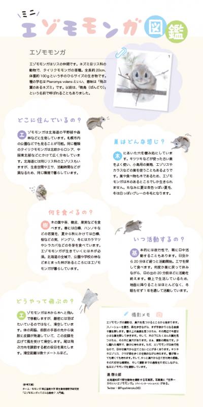 まるっともふっと かわいいエゾモモンガカレンダー 21 進 啓士郎 翔泳社の本