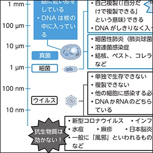 どんな検査や治療を選べばいいの？