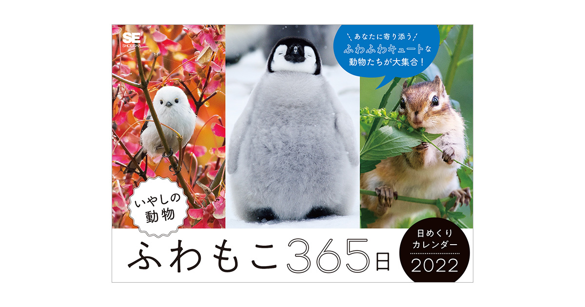 特上品 カレンダー2022 ふわもこ こいぬぐらし (月めくり・壁掛け) (ヤマケイカレンダー2022) その他趣味