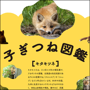 住処や食べ物など、子ぎつねにまつわる情報を集めた図鑑付き。