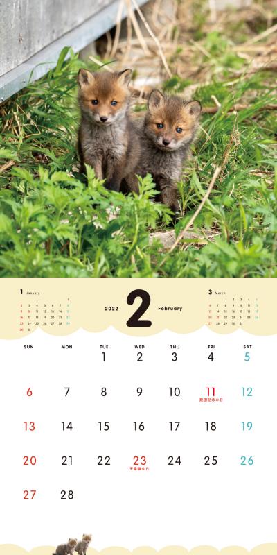 ふわっともふっと子ぎつね カレンダー 2022（久保 隆史）｜翔泳社の本