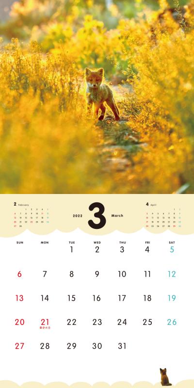 ふわっともふっと子ぎつね カレンダー 2022（久保 隆史）｜翔泳社の本