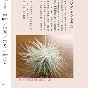 Part02では、定番から今人気を集めている品種まで、おすすめの植物64種をていねいに紹介。置き場所の目安や育て方のコツもしっかり。