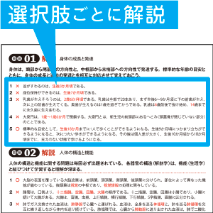 選択肢ごとに解答・解説つき！