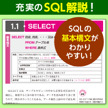 充実のSQL解説！