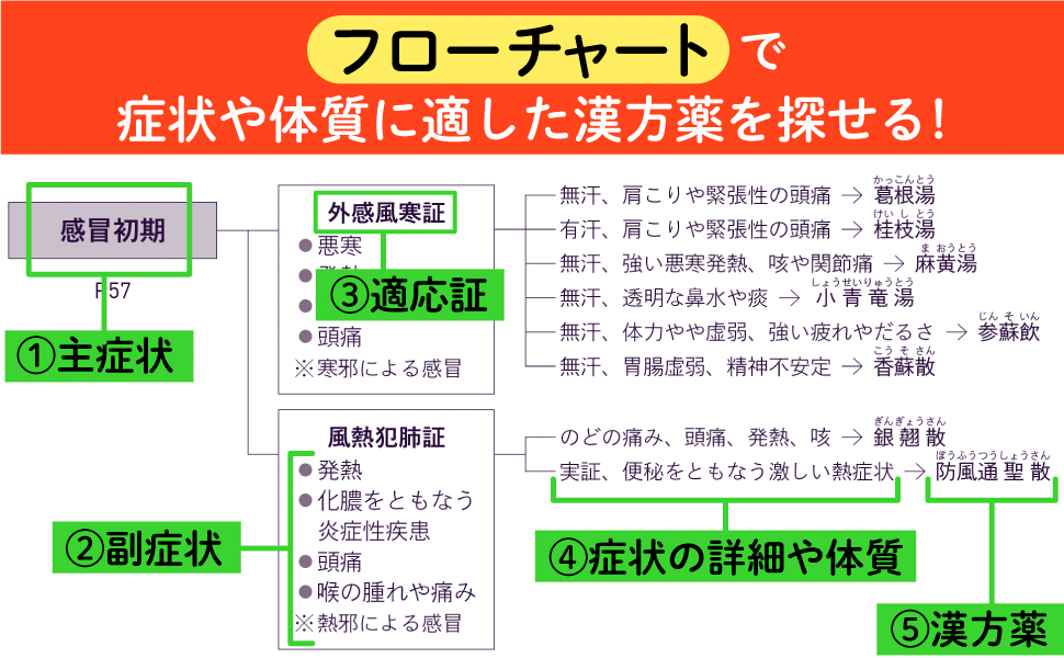 フローチャートで症状や体質に適した漢方薬を探せる！