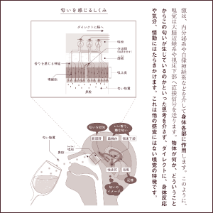 科学的な根拠（エビデンス）も紹介します