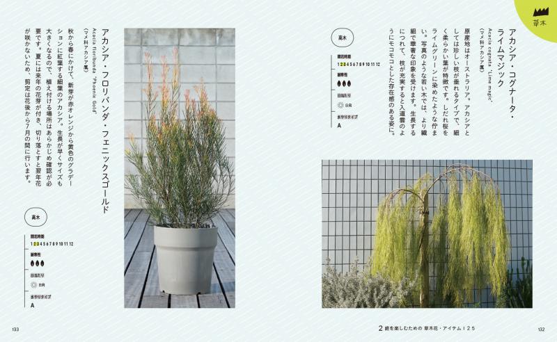 ナチュラルガーデニング 20冊 ナチュラルガーデニング 20冊 Amazon.co.jp: ナチュラル