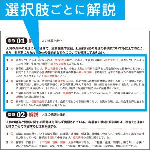 選択肢ごとに解答・解説つき！