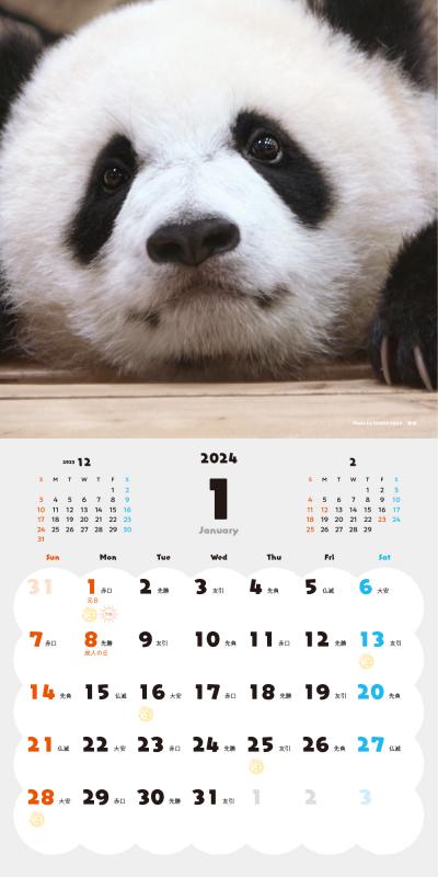SALE】2024年 壁掛けカレンダー | PANDA panda LIFE***