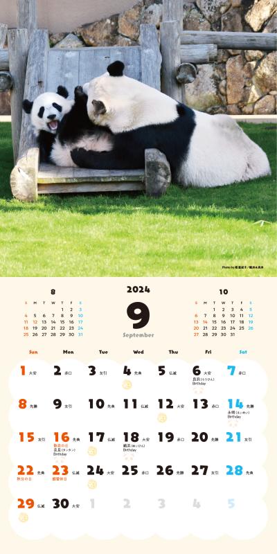 SALE】2024年 壁掛けカレンダー | PANDA panda LIFE***