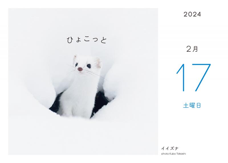 ふわもこ366日いやしの動物 日めくりカレンダー 2024 ｜ SEshop｜ 翔