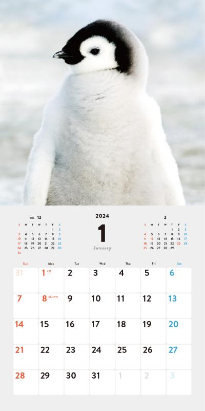 ペンギンちゃんページ ぺんちゃん卒業さみしぃ😢提供元: Jタウンネット