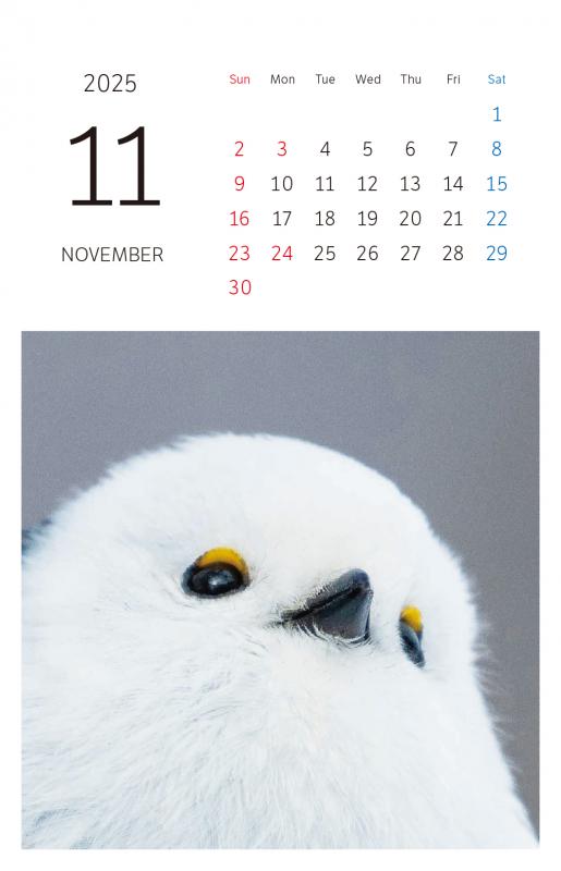 えながさま★専用ページ もふもふふわふわシマエナガ 卓上カレンダー 2025 ポストカード