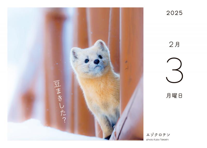 ふわもこ365日いやしの動物 日めくりカレンダー 2025 ｜ SEshop｜ 翔