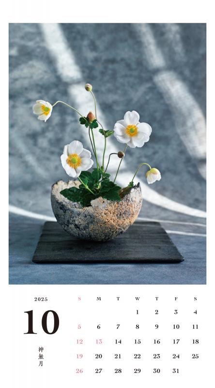 季節のしつらい小さな和の花 カレンダー 2025(谷 恭子)|翔 季節のしつらい小さな和の花 カレンダー 2025(谷 恭子)|翔