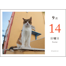 9月