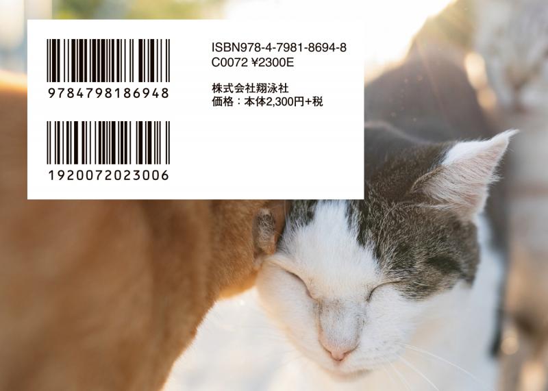 ⭐️2024年 365日日めくりカレンダー レフィルCATS 猫　写真 ⭐️2024年 365日日めくりカレンダー レフィルCATS 猫 写真