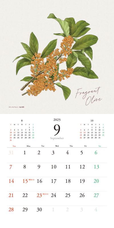 絵画　草花 わすれな草｜PICFA〈ピクファ〉