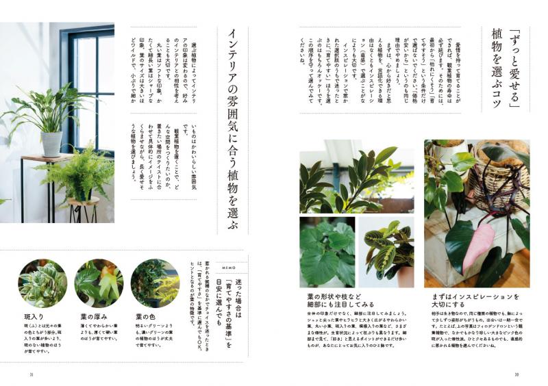 もう枯らさない！観葉植物の育て方 プロが教えるセオリー＆アイデア