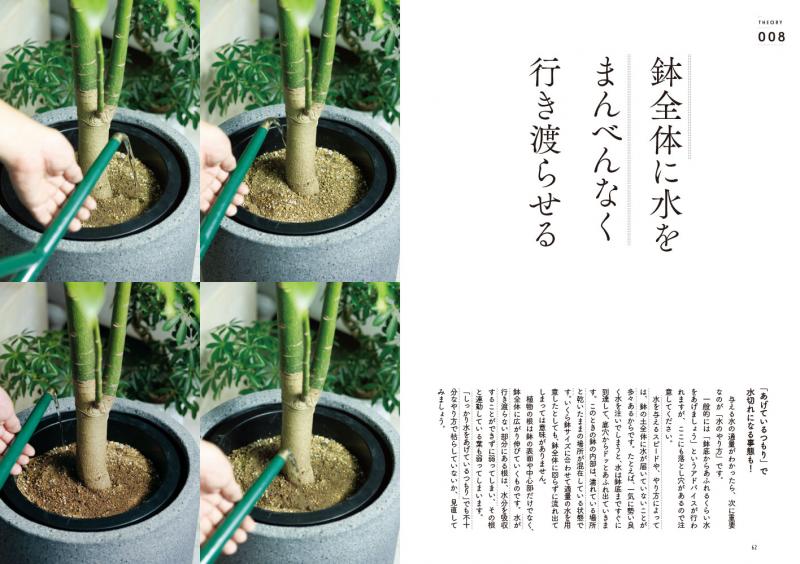 植物とお話しする法 植物とお話しする法―話す、喜ぶ、怒る、すねる、ねたむ…草花の