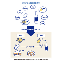 画像04
