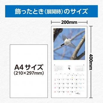 sp_9784798192147.in05.jpg