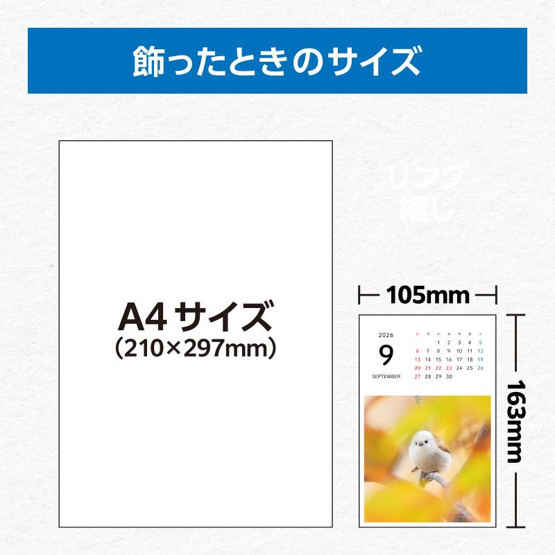 もふもふふわふわシマエナガ 卓上カレンダー 2026 ポストカード付き