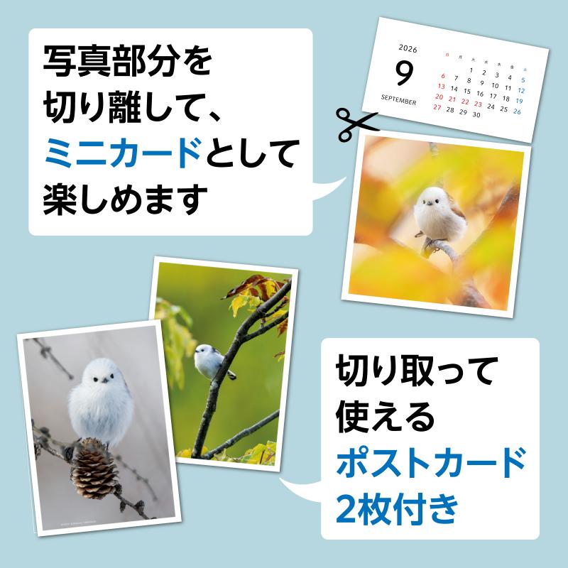 もふもふふわふわシマエナガ 卓上カレンダー 2026 ポストカード付き