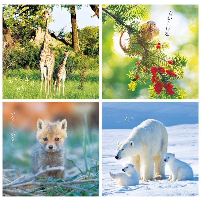 くるくるページ！激安。新品に近い状態！ケース付き！DAY-DATE 71W8NfxAjSL.jpg_BO30,255,255,