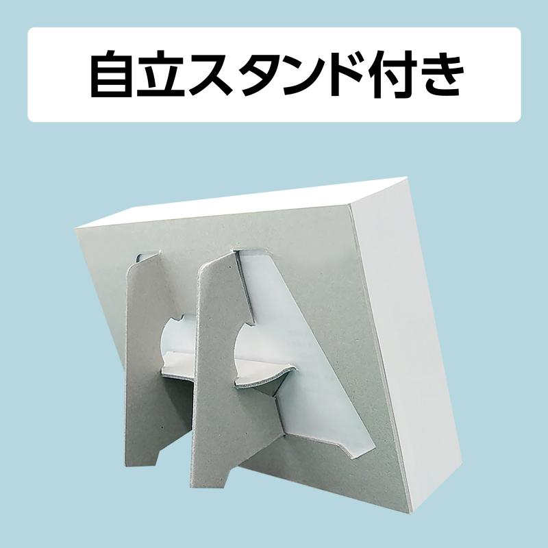 ふわもこ365日いやしの動物 日めくりカレンダー 2026 ｜ SEshop｜ 翔