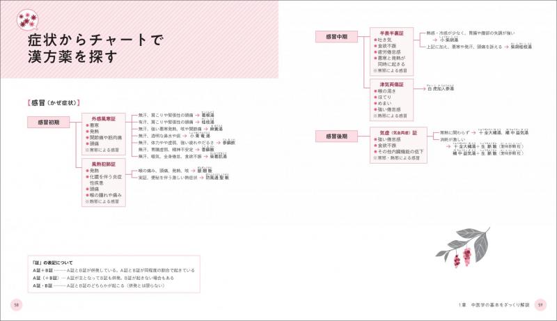 現場で使える 薬剤師・登録販売者のための漢方相談便利帖 症状・体質で