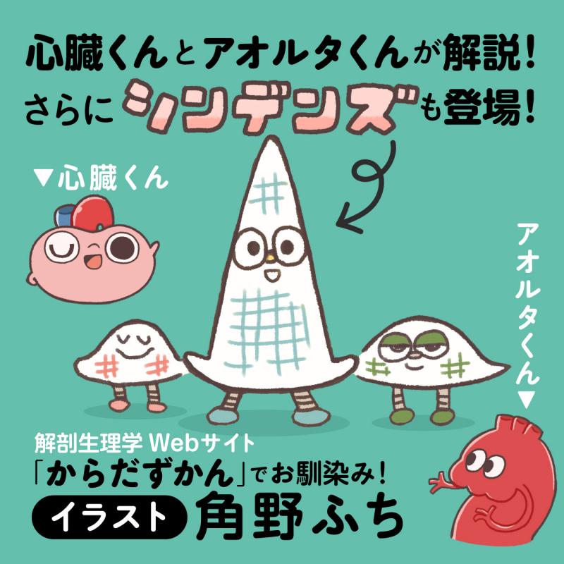 ナース3年目までに知っておきたい！読まずに身につく心電図 ｜ SEshop