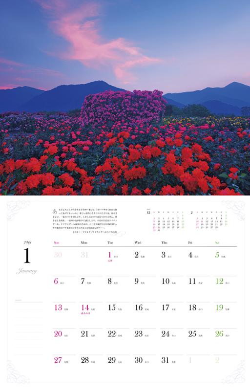 岡田光司 幻想の花園 カレンダー 19 Seshop Com 翔泳社の通販 岡田光司 幻想の花園 カレンダー 19 Seshop Com 翔泳社の通販